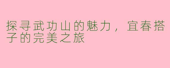 探寻武功山的魅力，宜春搭子的完美之旅
