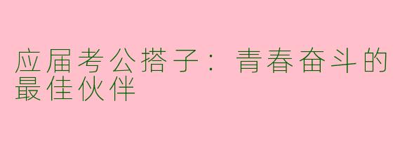 应届考公搭子：青春奋斗的最佳伙伴