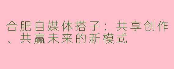 合肥自媒体搭子：共享创作、共赢未来的新模式