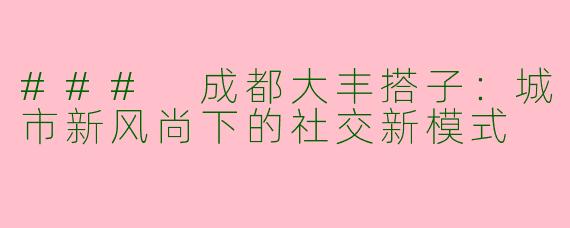 ### 成都大丰搭子：城市新风尚下的社交新模式