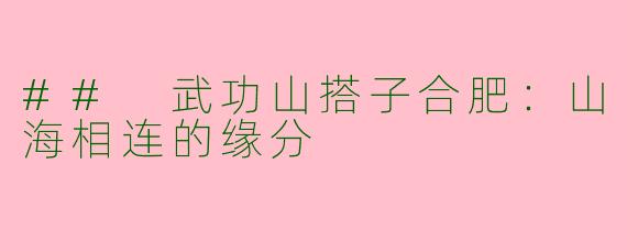 ## 武功山搭子合肥：山海相连的缘分