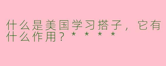 什么是美国学习搭子，它有什么作用？****