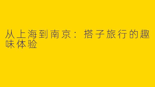 从上海到南京：搭子旅行的趣味体验
