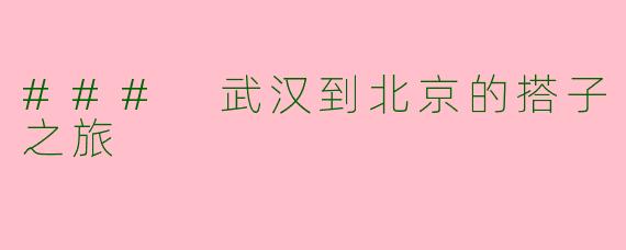 ### 武汉到北京的搭子之旅