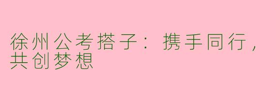 徐州公考搭子：携手同行，共创梦想