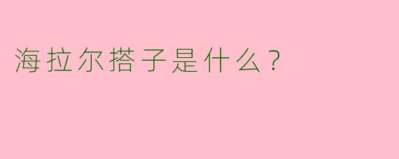海拉尔搭子是什么？  