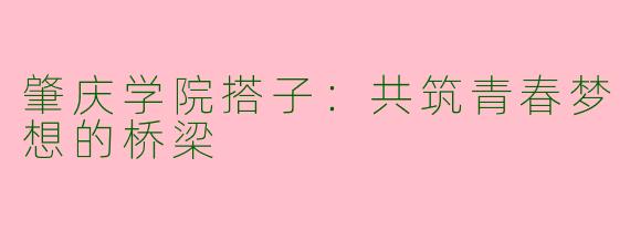 肇庆学院搭子：共筑青春梦想的桥梁