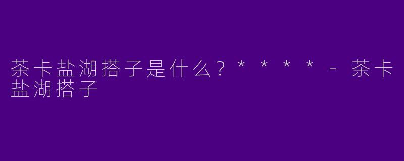 茶卡盐湖搭子是什么？****-茶卡盐湖搭子