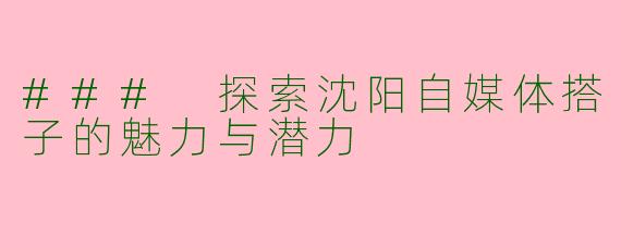 ### 探索沈阳自媒体搭子的魅力与潜力