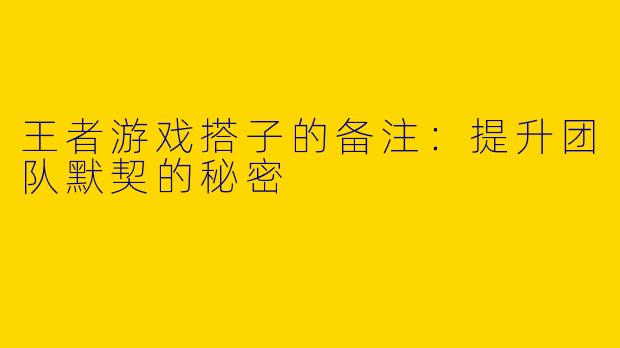 王者游戏搭子的备注：提升团队默契的秘密