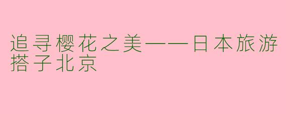 追寻樱花之美——日本旅游搭子北京