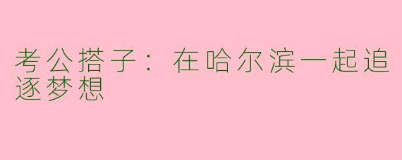 考公搭子：在哈尔滨一起追逐梦想