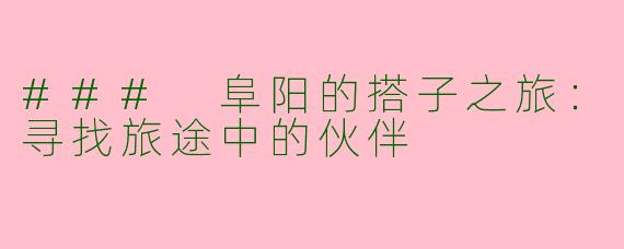 ### 阜阳的搭子之旅：寻找旅途中的伙伴