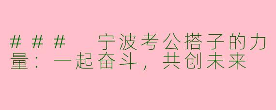 ### 宁波考公搭子的力量:一起奋斗,共创未来