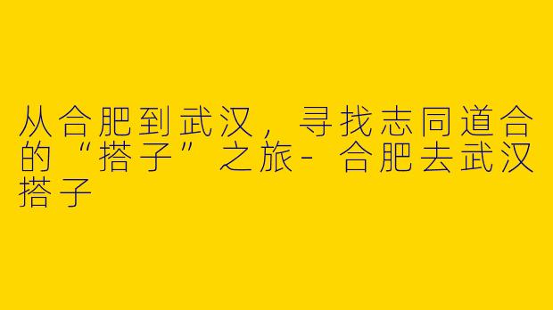 从合肥到武汉，寻找志同道合的“搭子”之旅-合肥去武汉搭子