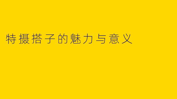 特摄搭子的魅力与意义