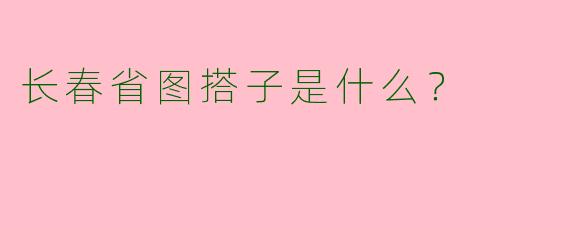 长春省图搭子是什么?