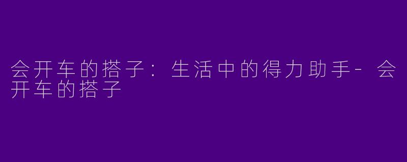会开车的搭子：生活中的得力助手-会开车的搭子