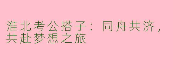 淮北考公搭子：同舟共济，共赴梦想之旅