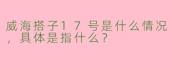 威海搭子17号是什么情况,具体是指什么?