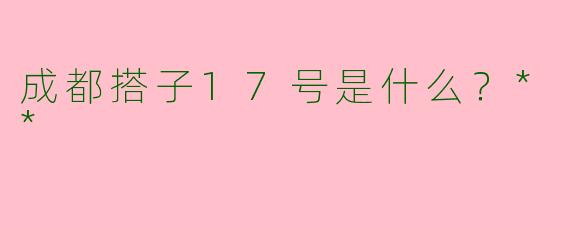 成都搭子17号是什么？**