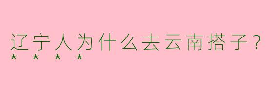 辽宁人为什么去云南搭子?****
