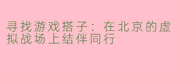 寻找游戏搭子：在北京的虚拟战场上结伴同行