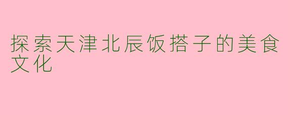 探索天津北辰饭搭子的美食文化