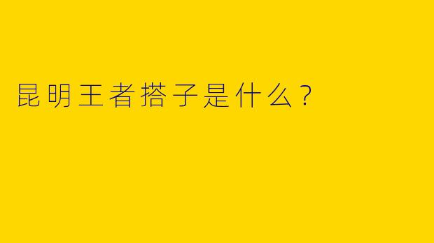 昆明王者搭子是什么？  