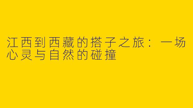 江西到西藏的搭子之旅：一场心灵与自然的碰撞