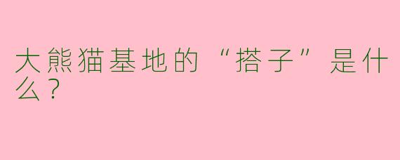 大熊猫基地的“搭子”是什么？