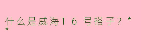 什么是威海16号搭子？**