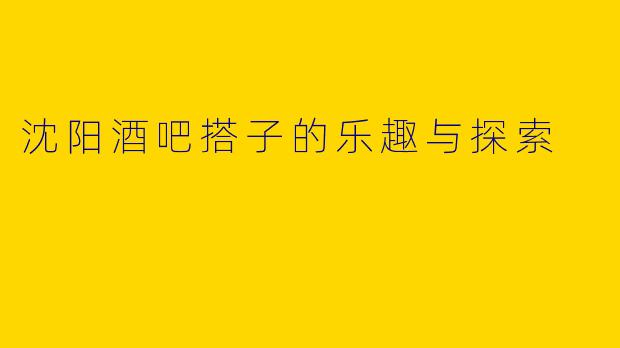 沈阳酒吧搭子的乐趣与探索