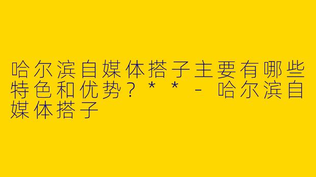 哈尔滨自媒体搭子主要有哪些特色和优势?**