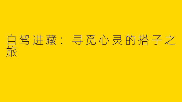 自驾进藏：寻觅心灵的搭子之旅