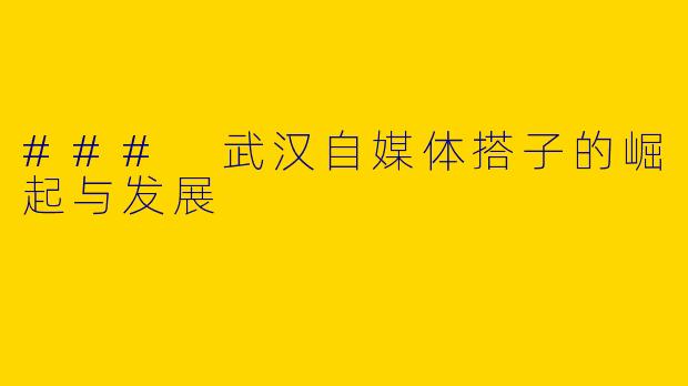 ### 武汉自媒体搭子的崛起与发展