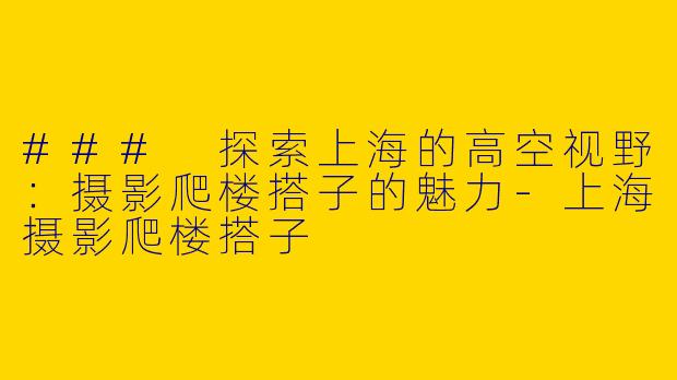 ### 探索上海的高空视野：摄影爬楼搭子的魅力-上海摄影爬楼搭子