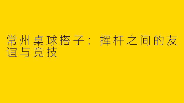 常州桌球搭子:挥杆之间的友谊与竞技
