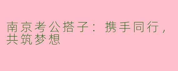 南京考公搭子：携手同行，共筑梦想