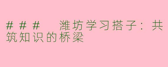 ### 潍坊学习搭子：共筑知识的桥梁