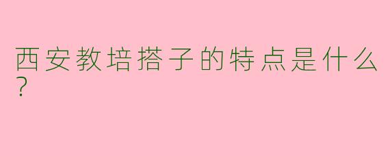 西安教培搭子的特点是什么?