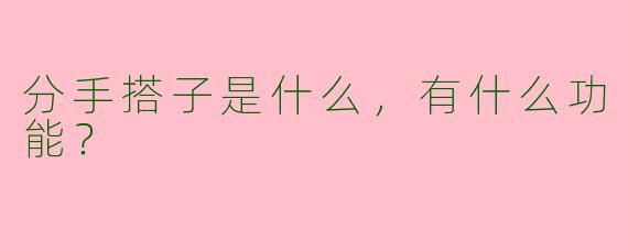 分手搭子是什么，有什么功能？  