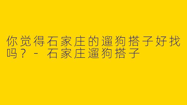 你觉得石家庄的遛狗搭子好找吗？