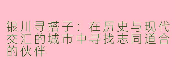 银川寻搭子：在历史与现代交汇的城市中寻找志同道合的伙伴