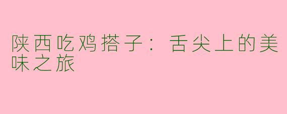 陕西吃鸡搭子：舌尖上的美味之旅
