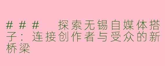 ### 探索无锡自媒体搭子：连接创作者与受众的新桥梁
