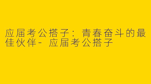 应届考公搭子：青春奋斗的最佳伙伴-应届考公搭子