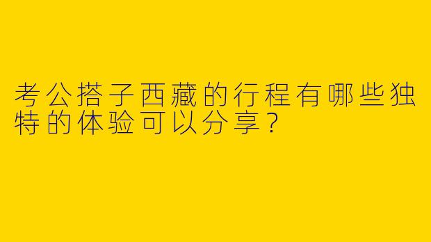 考公搭子西藏的行程有哪些独特的体验可以分享？