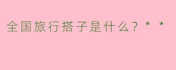 全国旅行搭子是什么？**