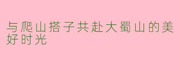 与爬山搭子共赴大蜀山的美好时光